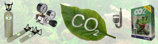 CO2 - Düngung